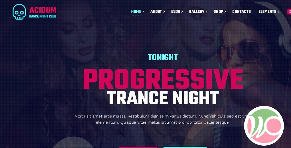 Acidum Night Club and DJ WordPress Theme