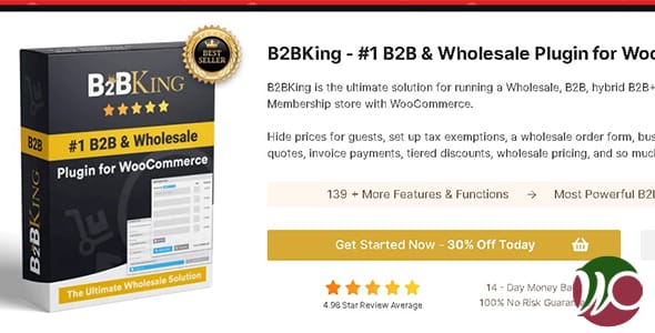B2BKing Pro for WordPress