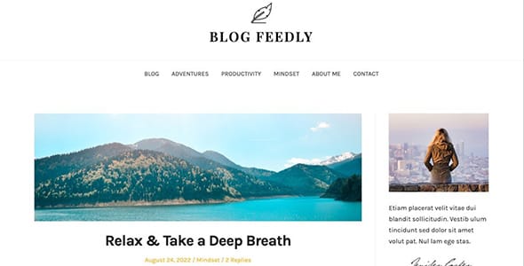 BlogFeedly WordPress Theme by ThemeEverest