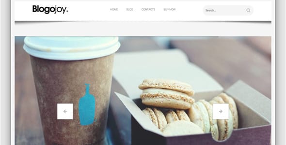 Blogojoy WordPress Theme by TeslaThemes