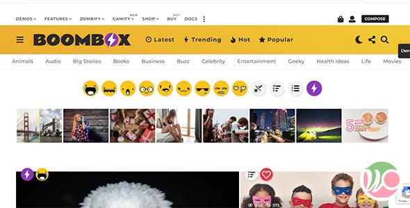 Boombox WordPress Theme by Px Lab