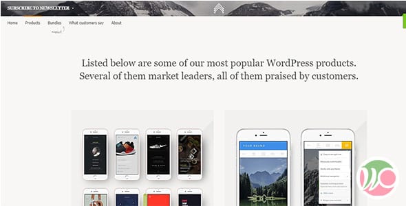 Brave WordPress Theme by Bonfire Themes