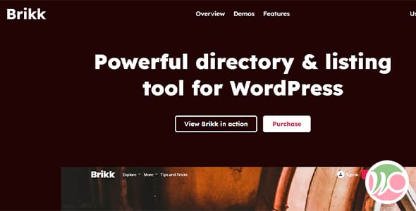 Brikk Directory and Listing WordPress Theme