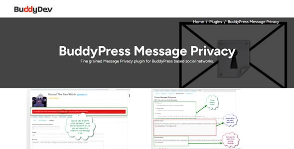 BuddyPress Message Privacy(BuddyDev) for WordPress
