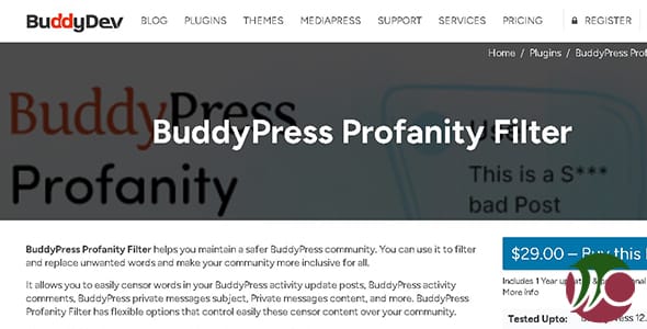 BuddyPress Profanity Filter for WordPress