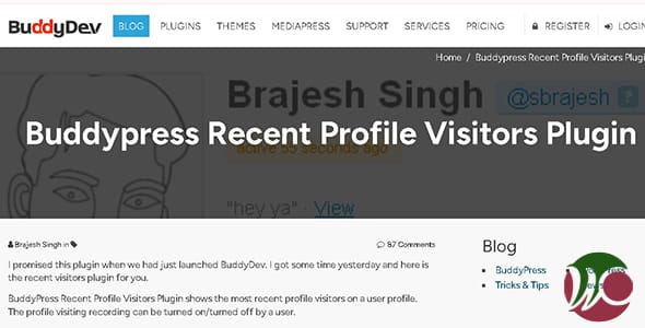 BuddyPress Recent Profile Visitors for WordPress