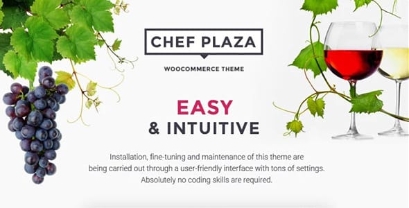 Chef Plaza Food And Wine Store for WordPress