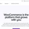 Coda WordPress Theme by WooThemes