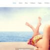 Company WordPress Theme by Theme Junkie