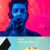 Complex Responsive WordPress Theme by DessignThemes