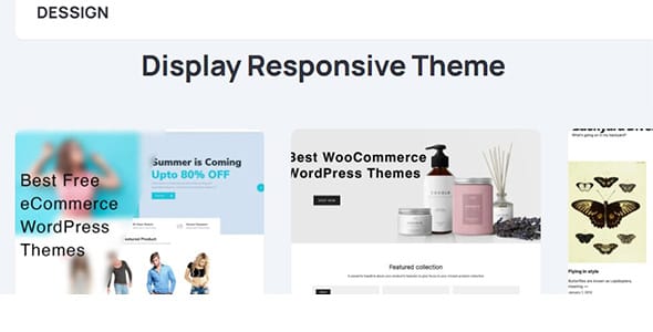 Display Responsive WordPress Theme by Marios Lublinski