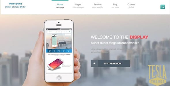 Display WordPress Theme by Tesla Themes