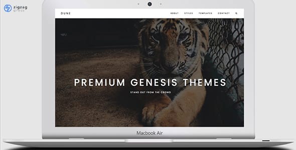 Dune WordPress Theme by Zigzagpress