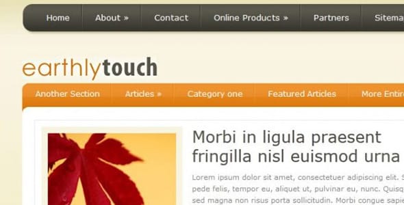 EarthlyTouch WordPress Theme by Elegant Theme