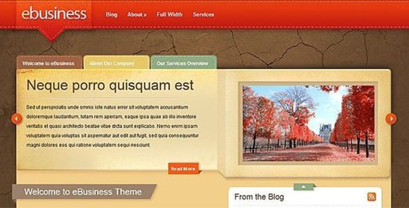 eBusiness WordPress Theme by Elegant Themes