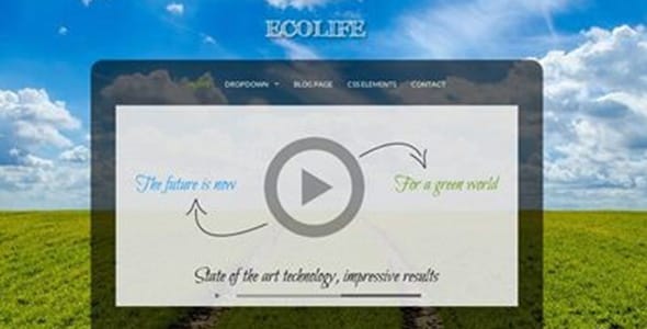EcoLife WordPress Theme by Viva Themes