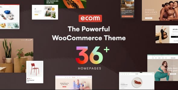 Ecomm WordPress Theme by ThemeMove