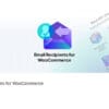 Email Recipients Pro for WooCommerce