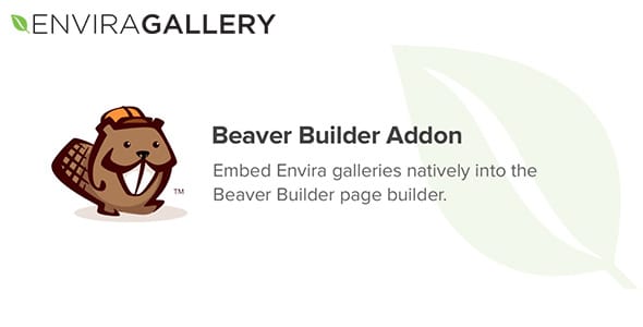 Envira Gallery Beaver Builder Addon for WordPress
