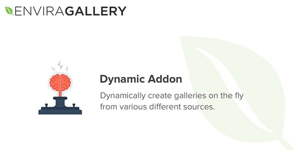 Envira Gallery Dynamic Addon for WordPress