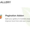 Envira Gallery Pagination Addon for WordPress