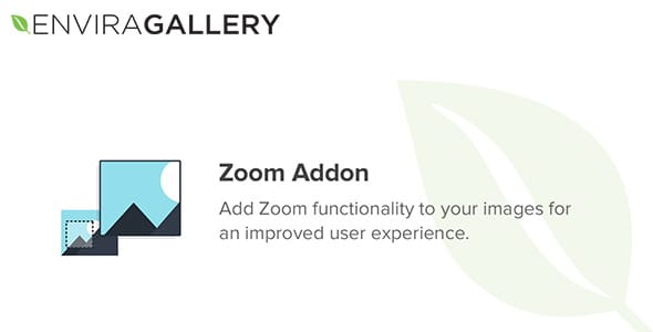 Envira Gallery Zoom Addon for WordPress