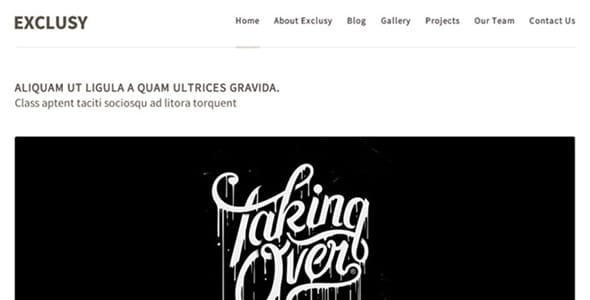 Exclusy WordPress Theme by Themeskingdom