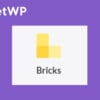 FacetWP Bricks Builder Integration for WordPress