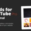 Feeds for YouTube Pro Personal for WordPress