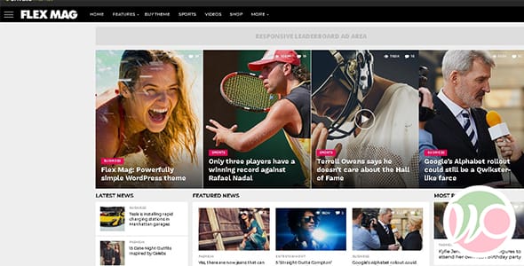 Flex Mag Responsive WordPress News Theme