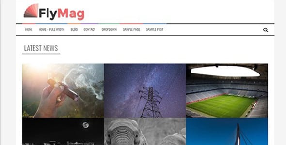 Flymag Pro WordPress Theme