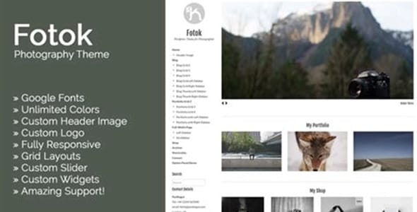 Fotok WordPress Theme by PanKogut