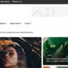 Gillion Multi Concept Blog Magazine and Shop WordPress AMP Theme