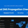Global DNS for WordPress