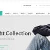 Gon Responsive Multi Purpose WordPress Theme