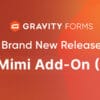 Gravity Forms Mad Mimi Add On Beta for WordPress