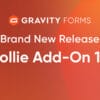 Gravity Forms Mollie Add On for WordPress