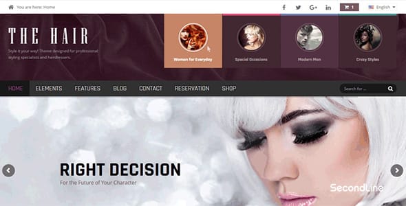 Hair WordPress Theme by AitThemes