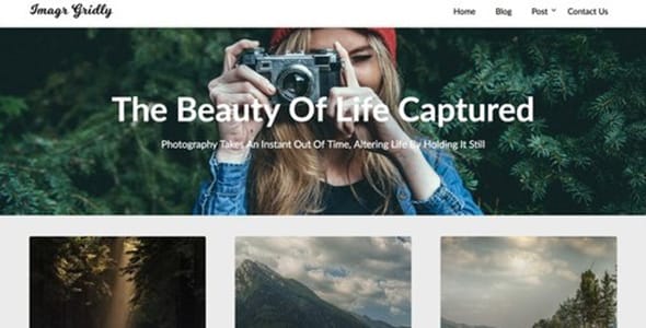ImageGridly WordPress Theme by ThemeEverest