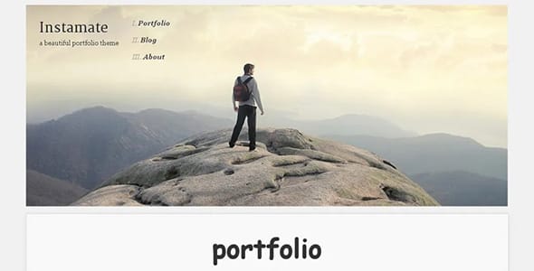 Instamate Sneak Peek WordPress Theme