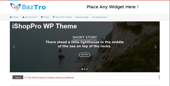 iShopPro WordPress Theme by Sandy