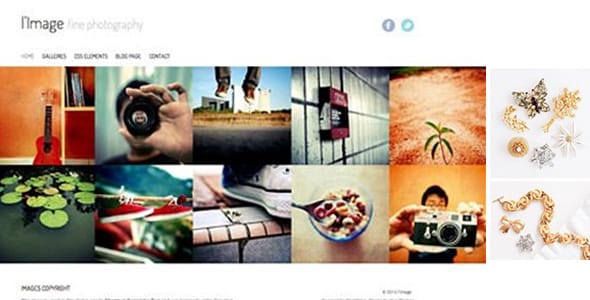 lImage WordPress Theme by Viva Themes