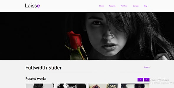 Laisse Premium WordPress Theme by Web Rockstars