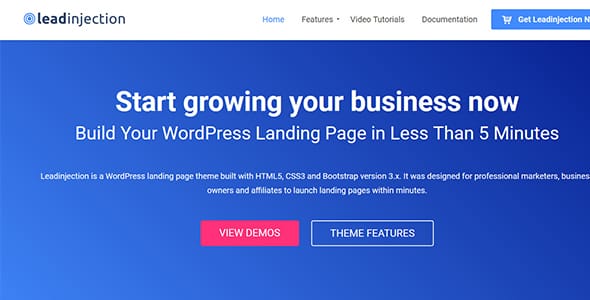 Leadinjection Landing Page WordPress Theme