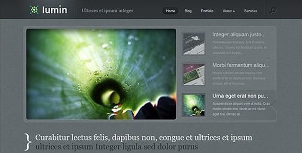 Lumin WordPress Theme by Elegant Themes