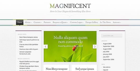 Magnificent WordPress Theme by Elegant Themes