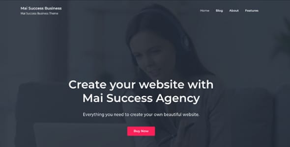 Mai Success WordPress Theme by BizBudding