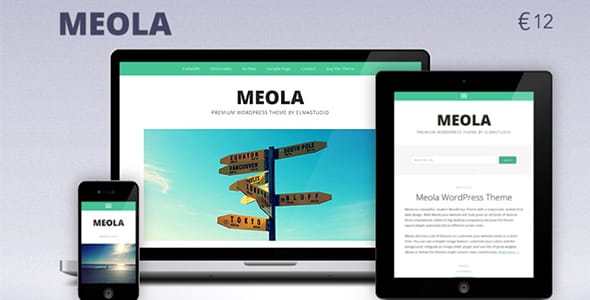 Meola WordPress Theme by Elmastudio