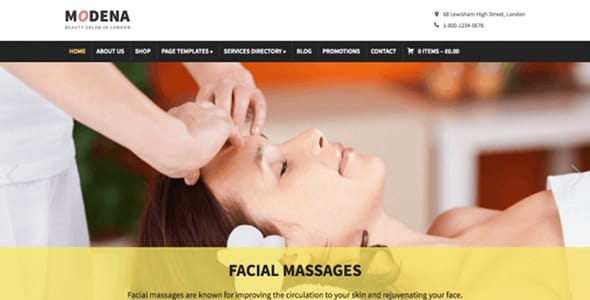 Modena WordPress Theme by WPZOOM