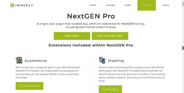 NextGEN Pro for WordPress